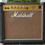 Marshall Bass 20 with gold panel